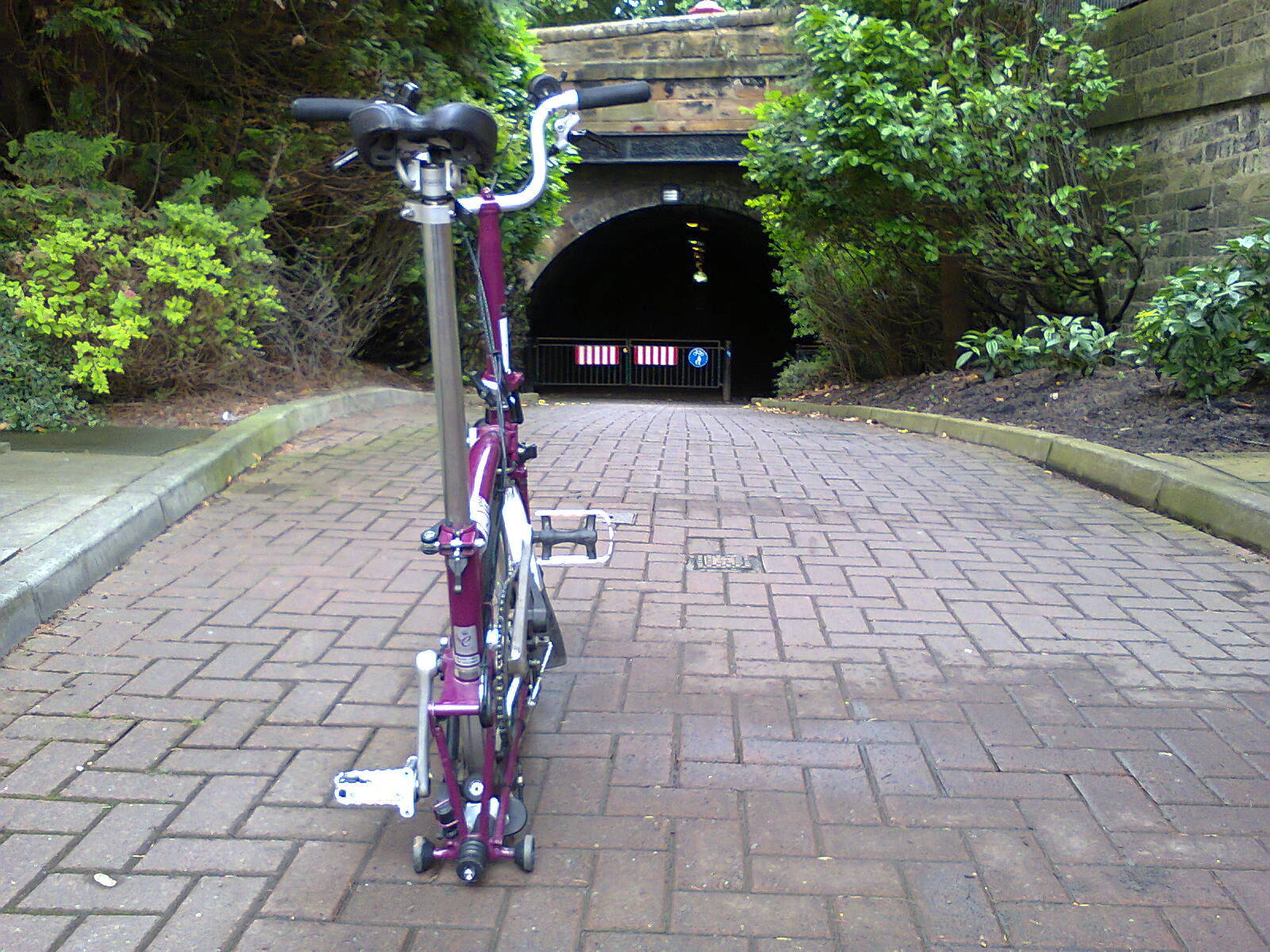 Tunnel on the Innocent Railway Path