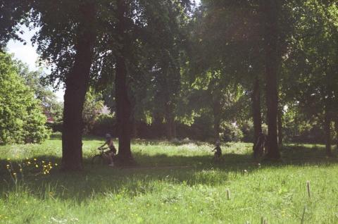 Family cycling through Woodlands Park