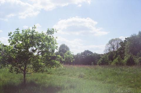 An informal track through Valley Parkway between Northfield and Bournville