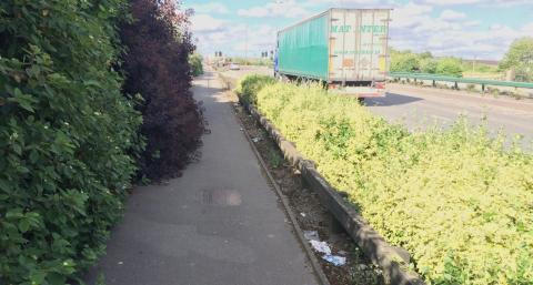 Vegetation growing over the footpath.