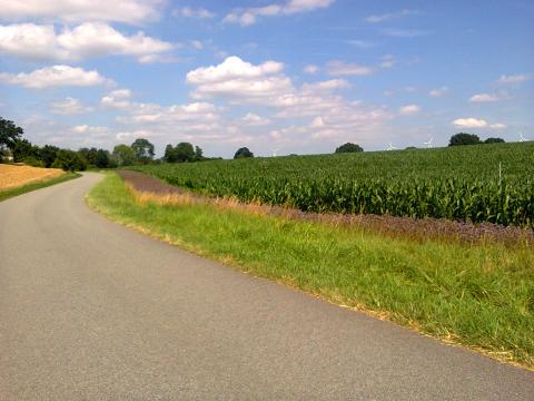 A Country Road in Germany