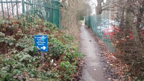 A poor quality path at the QE suitable for able-bodied pedestrians only