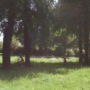 Family cycling through Woodlands Park