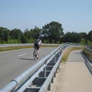 Road cyclist in Germany