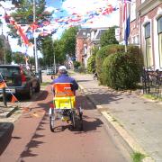 Electrically assisted trike for disabled people