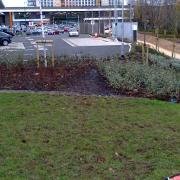 Desire lines at the new Sainsbury's in Selly Oak have already appeared