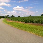 A Country Road in Germany
