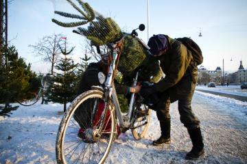 A christmas tree seller helps a customer strap a tree to her bike.
