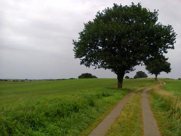 A field way in North Germany